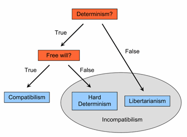 freewill.gif